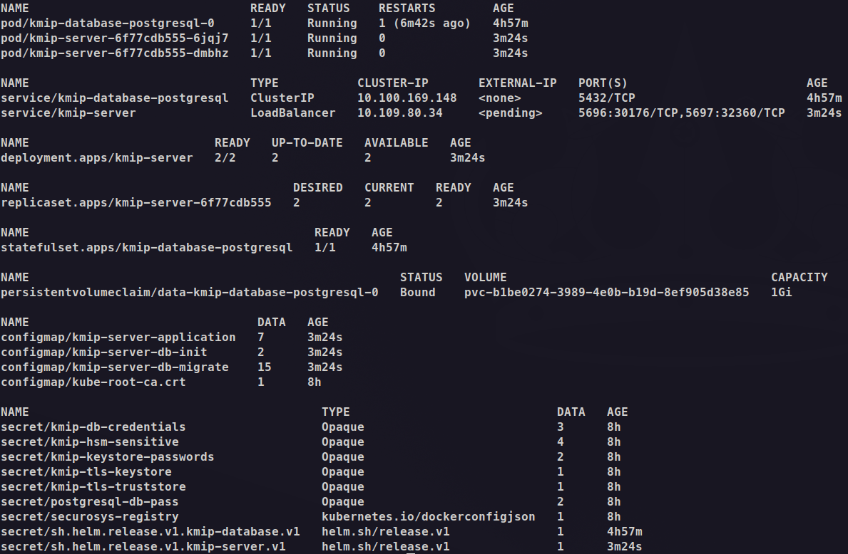 Screenshot of terminal showing the output of kubectl