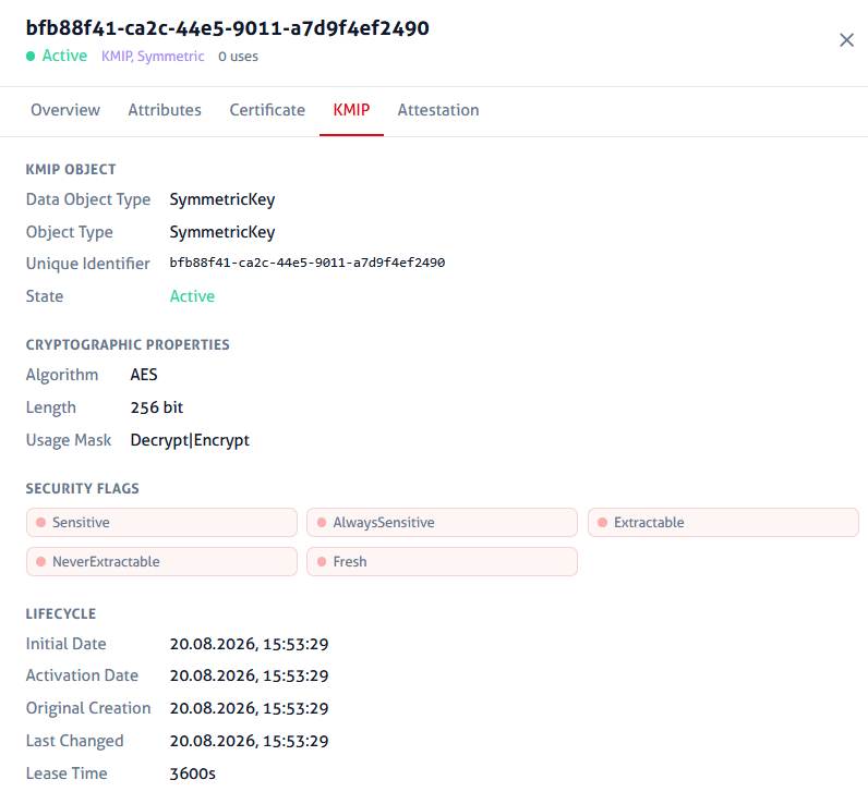 MongoDB Master Key as viewed in CyberVault KMS