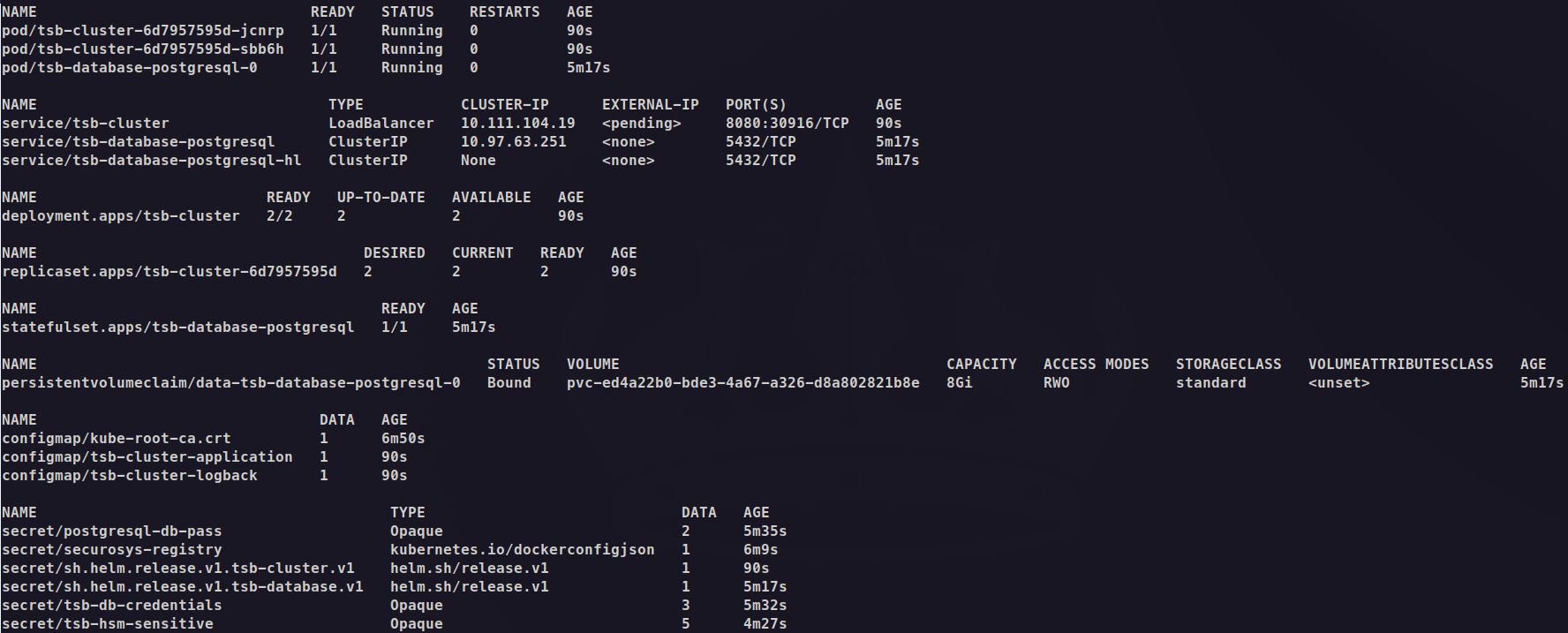 Screenshot of terminal showing the output of kubectl